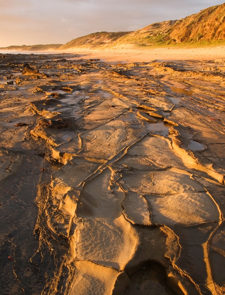 Cap Paterson 4 copy 2