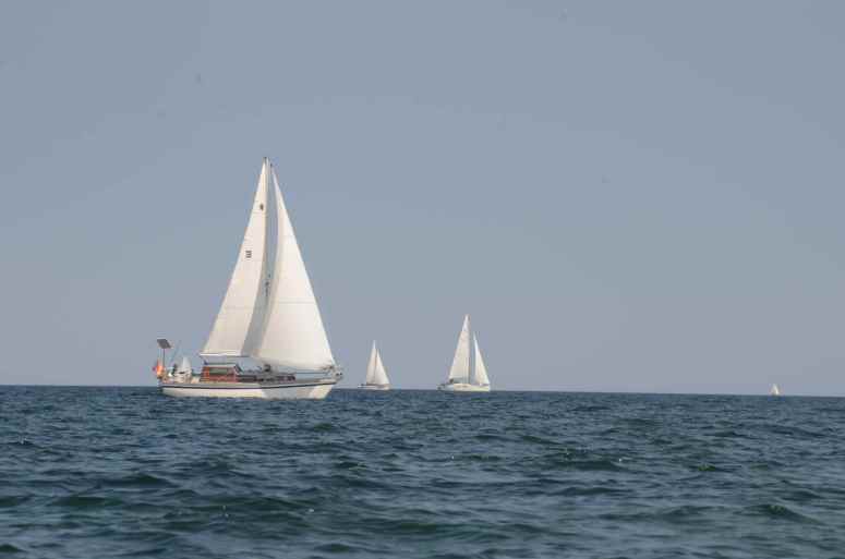 Mange skibe på denne tur, var lige på Sejlsikkert.dk for at være sikker på hvem tager hensyn til hvem :-)/ Lots of ships today, went to a website to check the rules  one more time. :-)