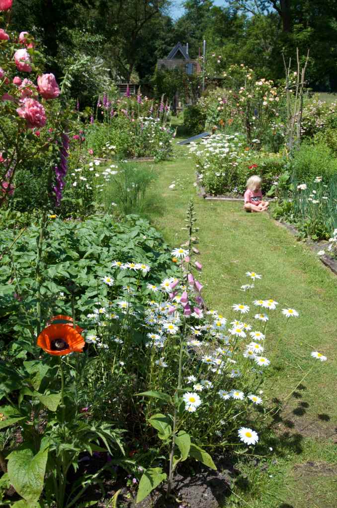 De har en fantastisk flot have, med frisk grønsager og salat som vi nød godt af:-) / They have a really nice garden, with salat and wegtabels witch we enjoyed a lot.